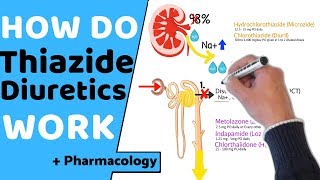 How do Thiazide Diuretics Work  Pharmacology [upl. by Anerehs]