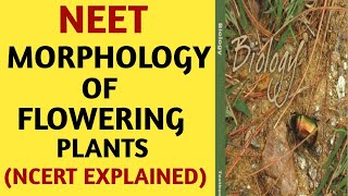 NCERTChapter 5Morphology of Flowering PlantsClass 11Quick Revision SeriesNEETAIIMSBiology [upl. by Nawuj725]