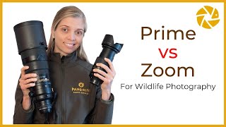 PRIME vs ZOOM lenses for wildlife photography [upl. by Aldas]