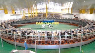 Huge 100 unit rotary milking parlour  Baladna Farm Qatar [upl. by Basil]