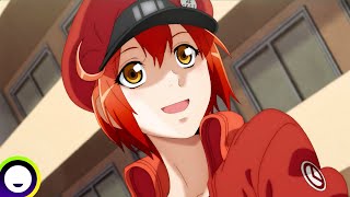 Cells at Work Official English Dub PV [upl. by Billi906]