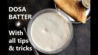 DOSA BATTER RECIPE  HOW TO MAKE DOSA BATTER  HOME with tips and tricks [upl. by Notyalc885]