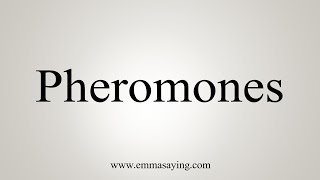 How To Say Pheromones [upl. by Malilliw204]