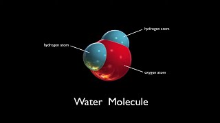 Water Molecules  Arbor Scientific [upl. by Chrystal477]