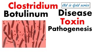 Clostridium Botulinum Microbiology  pathogenesis toxins and disease [upl. by Lek]