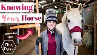 How Well Do You Know Your Horse Beginner Series  This Esme [upl. by Halimeda]