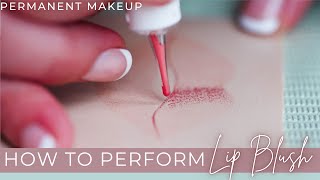 In Depth Lip Blush Permanent Makeup Training on Latex Practice Skin [upl. by Ruddie216]