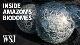 Inside Amazons Spheres the Biodome Office in Seattle  WSJ Open Office [upl. by Zerk]