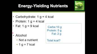 Easy Guide How to Calculate Calories [upl. by Amarillis734]