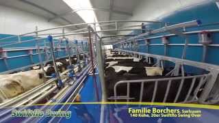 Dairymaster Schnellaustrieb amp Swing Over Melkstand [upl. by Aneris]