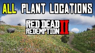 Red Dead Redemption 2  ALL 43 PLANTS amp HERBS LOCATIONS [upl. by Collar]