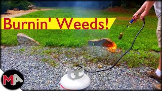 Burning Weeds with a Propane Torch [upl. by Acyre]