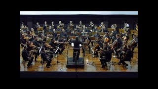 ORCHESTRA HYMNS BELÍSSIMA INTERPRETAÇÃO DOS HINOS CCB VOL 01 [upl. by Marj676]