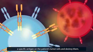 CAR TCell Therapy How Does It Work [upl. by Eliath318]