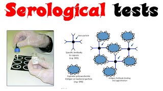 Serological tests [upl. by Ettore507]