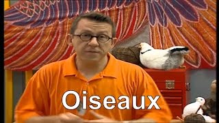 Comment sorientent les oiseaux   Cest pas sorcier [upl. by Nnyleuqaj338]