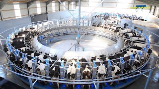 The Incredible Rotary Milking Parlour from Dairymaster [upl. by Anawit515]