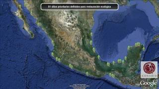 CONABIO Manglares de México [upl. by Anilag358]