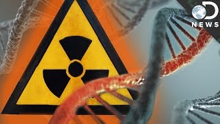 How Radiation Changes Your DNA [upl. by Hakeber]