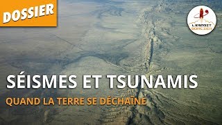 SÉISMES ET TSUNAMIS  Dossier 25  LEsprit Sorcier [upl. by Cornelie]