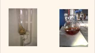 Extraction of Curcuminoids from turmeric [upl. by Nylcaj]