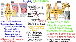 AOCPMR OMT Walkthrough of Osteopathic Sacral Dysfunctions [upl. by Ynohtnael152]