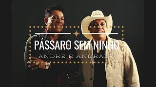 Pássaro sem ninho  André e Andrade  Vídeo Lyrics [upl. by Eda515]