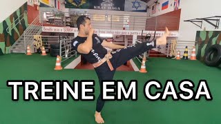 TREINO PARA FAZER EM CASA  CHUTES E PERNAS 1 [upl. by Srevart]