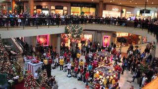 Flash Mob the best of Christmas 2011  Flash Mob Best Of [upl. by Einyaj]