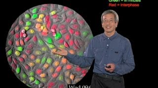 Microscopy Fluorescent Protein Indicators Roger Tsien [upl. by Range906]