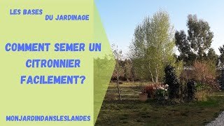 Comment semer un citronnier facilement   Monjardindansleslandes [upl. by Reseda]