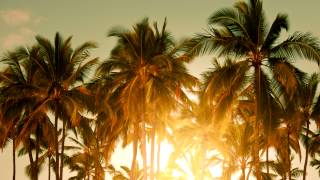 Baz Luhrmann  Wear Sunscreen Mau Kilaueas Tropical Remix [upl. by Emlen535]