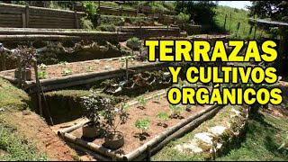 TERRAZAS PARA CULTIVOS ORGÁNICOS [upl. by Ynneg]