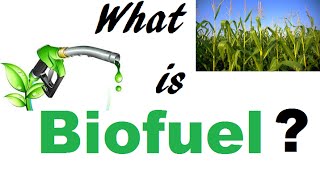 What is Biofuel [upl. by Svetlana]