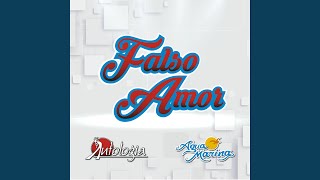 Falso Amor [upl. by Leede472]