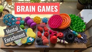 Brain Games for DogsMental Enrichment [upl. by Bronwyn]