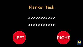 AFNI Tutorial 2 The Flanker Task [upl. by Eaned]