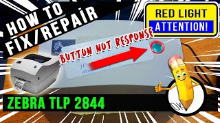 Red Lights  How to Fix  Zebra TLP2844 [upl. by Ardnassak]