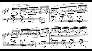 Chopin 24 Preludes Op28 Blechacz [upl. by Tatum176]