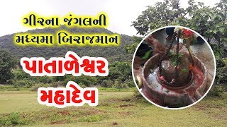 Pataleshwar Mahadev in Gir Jungle [upl. by Nnahoj762]