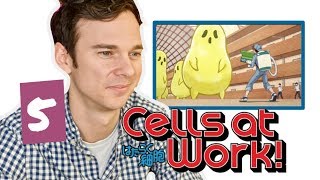 Real DOCTOR reacts to CELLS AT WORK  Episode 5  quotCedar Pollen Allergyquot [upl. by Yrek]