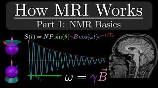 How MRI Works  Part 1  NMR Basics [upl. by Hjerpe109]