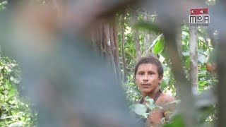 Seltene Aufnahmen Isolierter IndianerStamm im Amazonas gefilmt [upl. by Ahsiket]