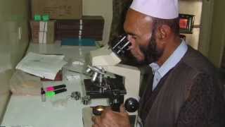 Malaria rapid diagnostic tests to improve treatment in Afghanistan [upl. by Gerta]