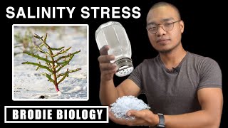 PLANT STRESS PHYSIOLOGY  SALINITY STRESS [upl. by Adil910]