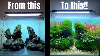 TAKE YOUR AQUASCAPE TO THE NEXT LEVEL WITH THIS MOSS METHOD [upl. by Imnubulo754]