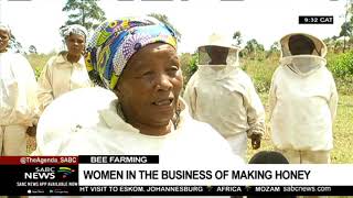 Bee farming  Women in the business of making honey [upl. by Kosel]