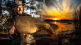 Big carp fishing at Homestead dam  Carp fishing South Africa 2021 [upl. by Dorin]