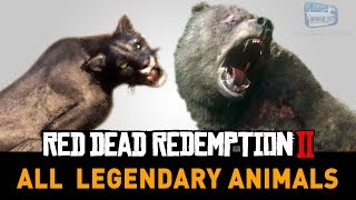 Red Dead Redemption 2 All Legendary Animals [upl. by Nanaj]