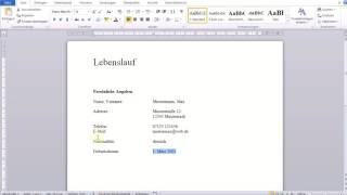 Einfacher tabellarischer Lebenslauf in Word [upl. by Echikson789]